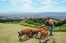 Perfect Nara Park Half-Day Bus Tour with English Speaking Guide
