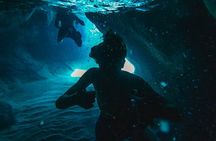 Dubrovnik: Private 2-Hour Swim, Snorkel & Cave Tour