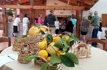 Sorrento Cooking School Cook as Locals with seaview Hands on 100%
