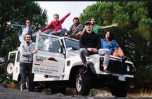Mount Etna 4x4 Jeep Tour with lunch