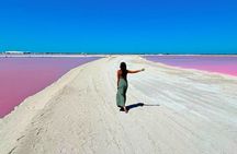 Safari in Rio Lagartos, Coloradas and Mayan Bath with Lunch
