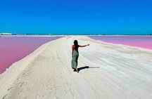 Safari in Rio Lagartos, Coloradas and Mayan Bath with Lunch