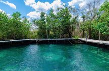 Full Day Tour to the Best of Holbox
