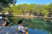 The best of Holbox from Tulum