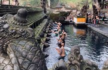 Ubud Private Tour: Hidden Waterfalls, Rice Terraces & Temple