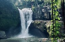 Ubud Private Tour: Hidden Waterfalls, Rice Terraces & Temple