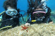 Scuba Diving Class in Mellieha