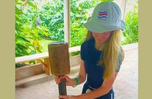 Rio Celeste Expedition – Sloths, Waterfalls & Nature's Magic