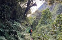 Choro Inka Trail from The Andes to the Jungle
