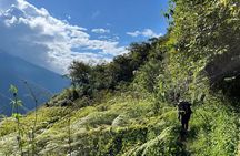 Choro Inka Trail from The Andes to the Jungle