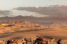 Quad Bike & Camel Ride & Dinner Show In Agafay Desert 