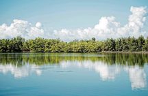 Ft Lauderdale to Islamorada Tour with Boat Ride and Lunch