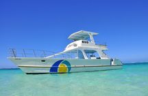 Catamaran Private Group Tour