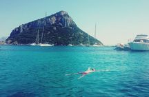 Olbia : Dolphin Sighting Tour Figarolo Island and Snorkeling