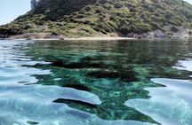 Olbia : Dolphin Sighting Tour Figarolo Island and Snorkeling