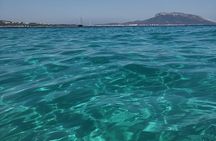 Olbia : Dolphin Sighting Tour Figarolo Island and Snorkeling