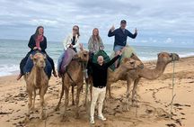 Luxury Private 4Hour Tour of Tangier 