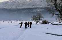  Small group Trekking to Vinciguerra Glacier and Témpanos Lagoon 