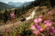 Side-by-Side Off-Roading Adventures on Cougar Mountain