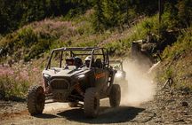 Side-by-Side Off-Roading Adventures on Cougar Mountain