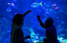 California Academy of Sciences NightLife Plus Admission Ticket 