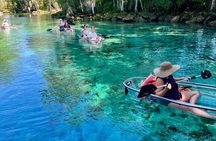 Clear Kayak Spring & Wildlife Tour Crystal River with Free Photos
