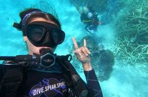 Outer Reef Scuba Diving Day Tour from Agnes Water 1770