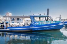 Outer Reef Scuba Diving Day Tour from Agnes Water 1770