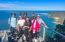  Private tour: Port Stephens, departing Newcastle - Whales!