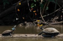 2 Days : Tour Rainforest Expeditions -Sandoval Lake lodge