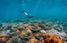 Funtastic Catamaran Cruise and Snorkel of Great Keppel Islands