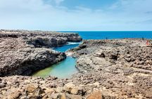 Full Day Adults Only Tour of Sal with Lobster Lunch and Salt Lake