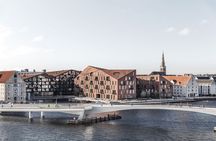 Copenhagen: Harbor Architecture Private Walking Tour