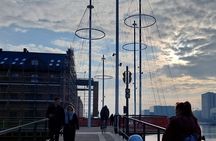 Copenhagen: Harbor Architecture Private Walking Tour