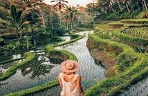 Explore The Arts and Tourism Village in Ubud