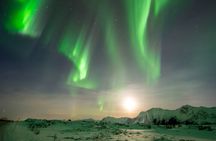 Ultimate Aurora Hunt Northern Lights Van Tour with Hot Drinks