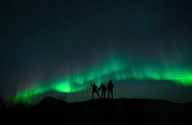 Ultimate Aurora Hunt Northern Lights Van Tour with Hot Drinks