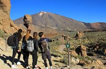 Half-day excursion to Teide National Park