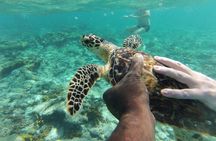 Glass Bottom Nylon Pool Tour in Buccoo Reef