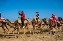 Atlas Mountains & 3 Valleys Waterfalls and Camel Ride Marrakech