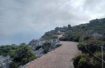 Table Mountain and Cape of Good Hope Tour