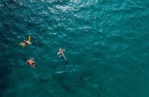 Catamaran Sailboat / Sunset & Snorkeling Tour from Guanacaste Z1