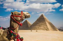  Best Day Tour Visit Giza Pyramids, and Sakkara&Memphis Pyramids 