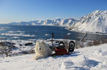 Lofoten Islands: Guided Snowshoeing Tour - Uphill version