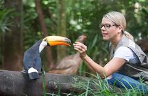 Explore Parque das Aves with a Guided Tour VIP
