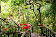 Explore Parque das Aves with a Guided Tour VIP