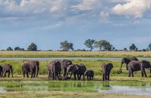 3 Days Unforgettable Masai Mara Safari Tour 