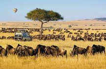 6 Days Group Multi Day Tour Masai Mara Lake Nakuru and Amboseli