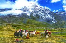 Full Day - Rainbow Mountain tour - Group Service