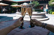 Cheese and Wine Tour in a Day from Queretaro